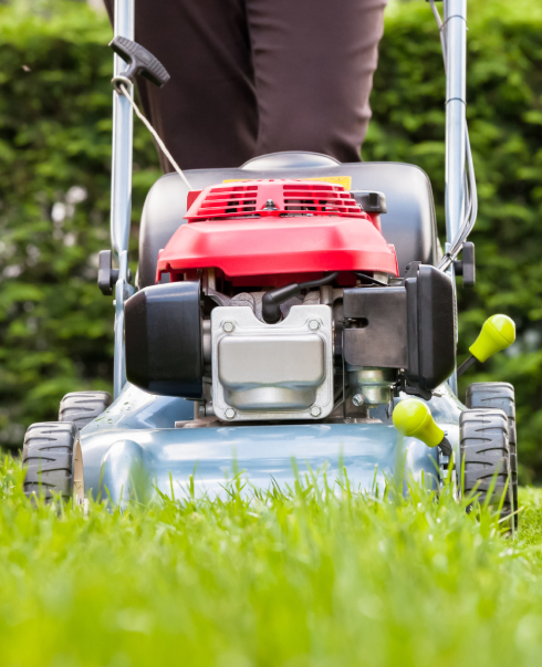 Lawn Mowing