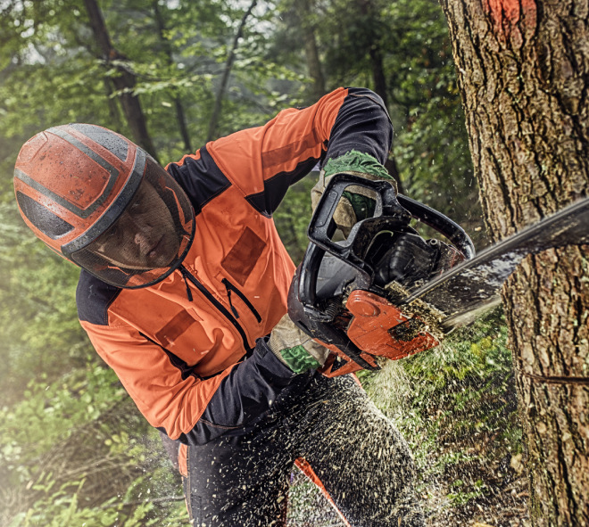 Tree & Shrub Removal